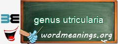 WordMeaning blackboard for genus utricularia